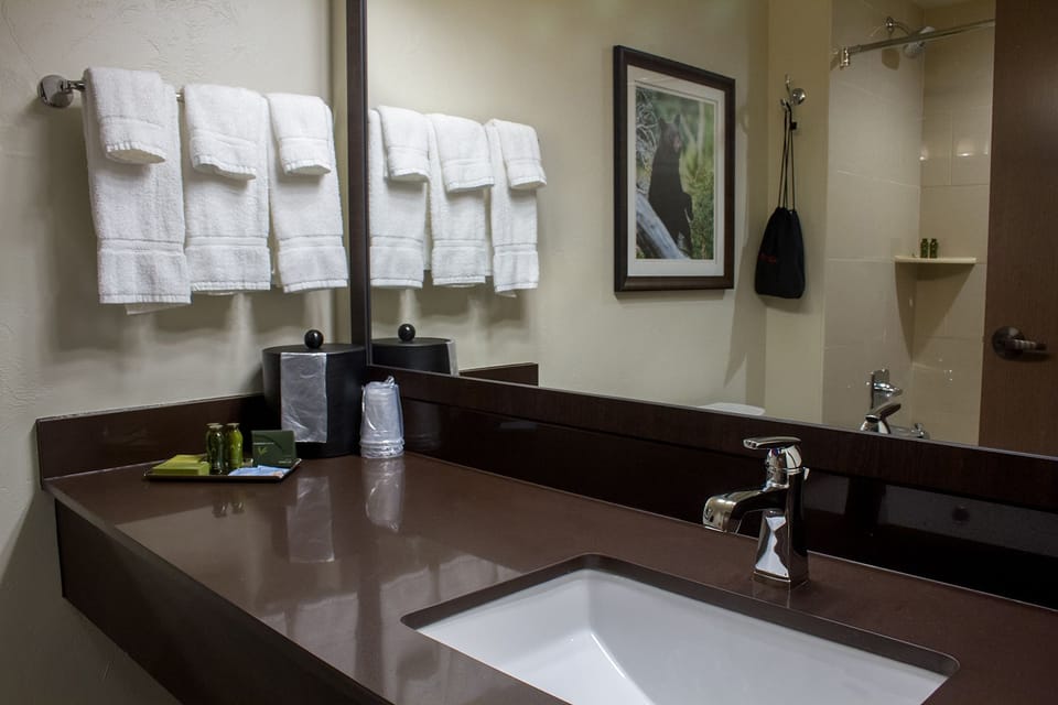 Combined shower/tub, free toiletries, hair dryer, towels