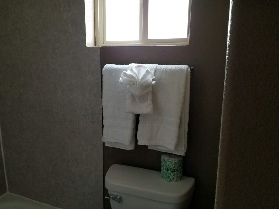 Single Room (Basic Single Room No pets allowed) | Bathroom | Combined shower/tub, free toiletries, towels, soap
