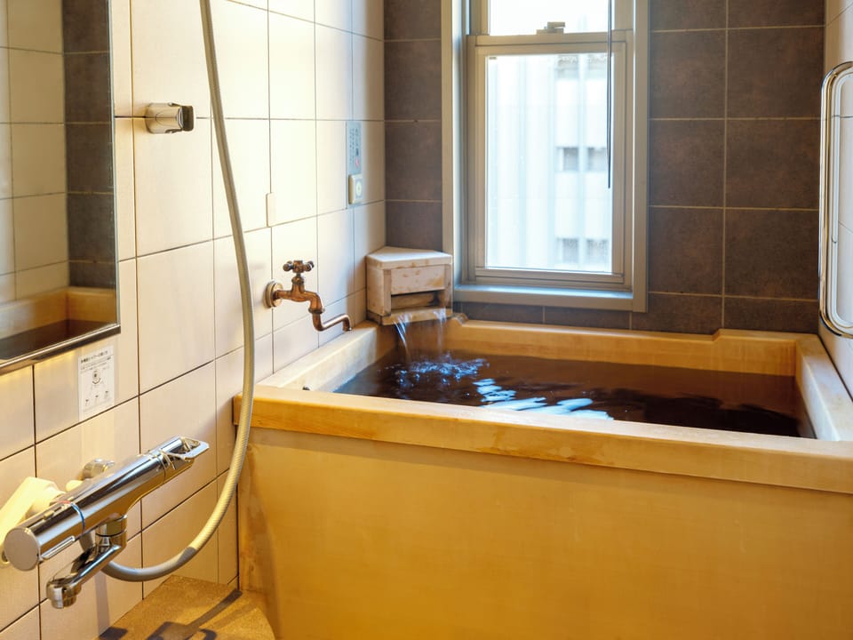 Shower, free toiletries, hair dryer, slippers