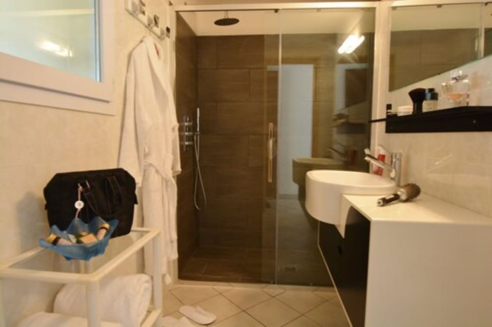 Studio (Terrace) | Bathroom | Shower, free toiletries, hair dryer, towels