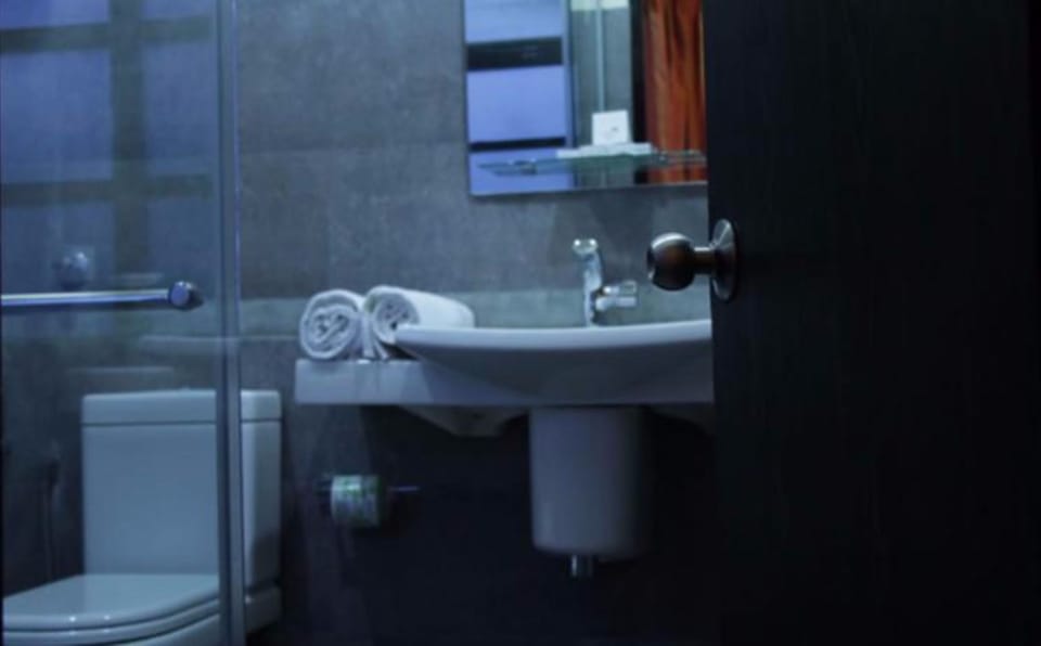 Shower, free toiletries, bidet, towels