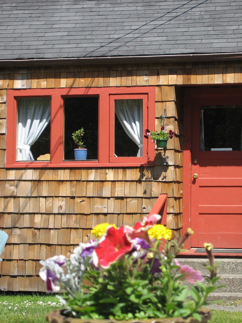 Shakti Cove Cottages Lodge in Ocean Park