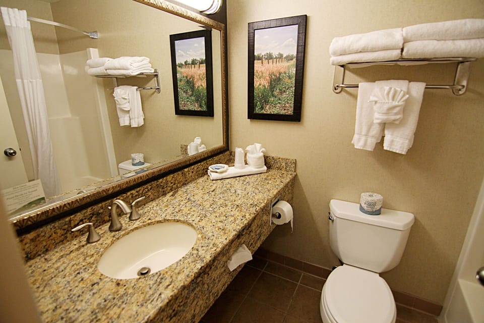 Combined shower/tub, designer toiletries, hair dryer, towels