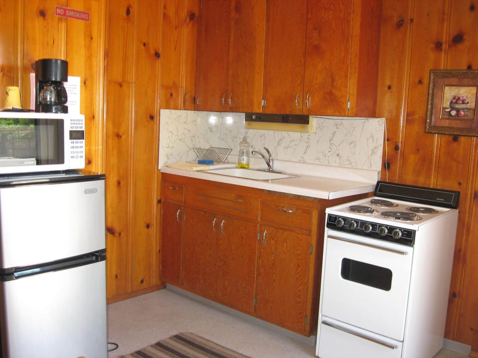 Standard Room, Multiple Beds, Non Smoking, Kitchenette, Pet Friendly  (1 Queen 1 Double) | Private kitchen | Coffee/tea maker, fridge, microwave, dining table