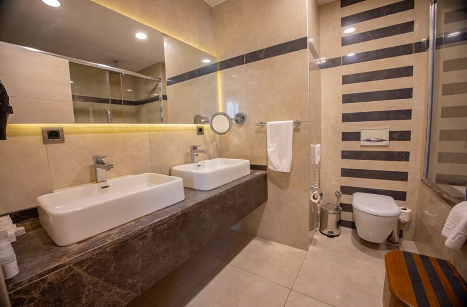 Suite | Bathroom | Shower, free toiletries, hair dryer, bathrobes