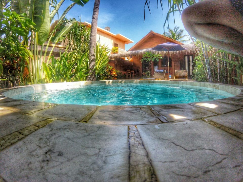 Indoor pool, pool umbrellas, sun loungers