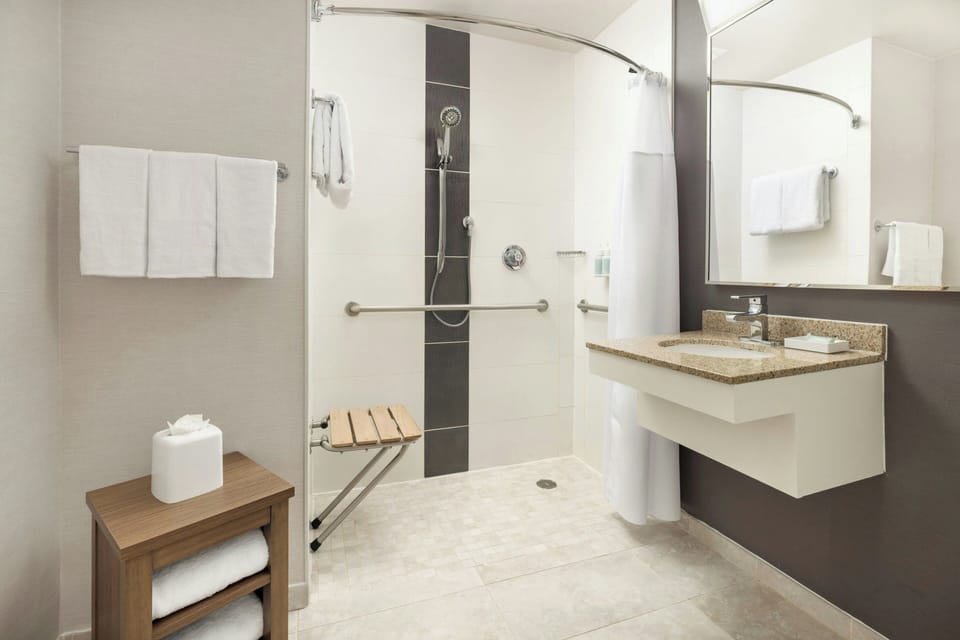 Combined shower/tub, free toiletries, hair dryer, towels