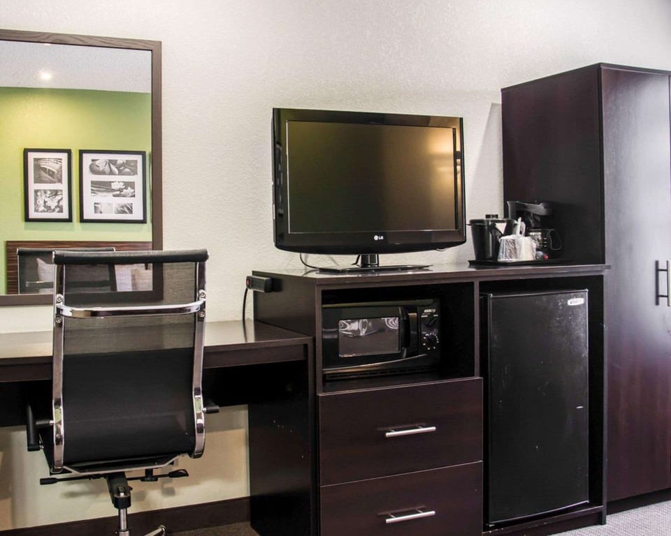 Standard Room, 1 King Bed, Non Smoking | Individually furnished, desk, blackout drapes, iron/ironing board