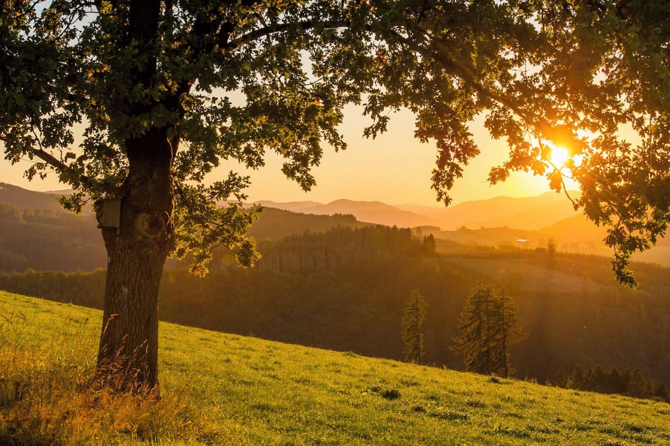 Land view from property