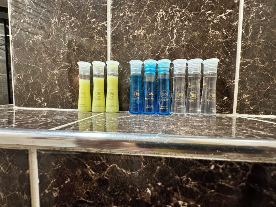 Shower, free toiletries, hair dryer, slippers