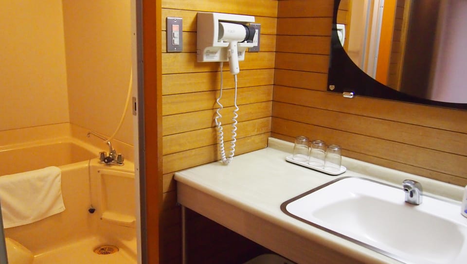 Japanese Western Style Room | Bathroom | Free toiletries, hair dryer, slippers, electronic bidet