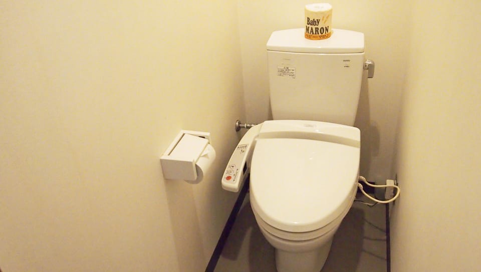 Twin Western Style Room | In-room safe, free WiFi, bed sheets, wheelchair access