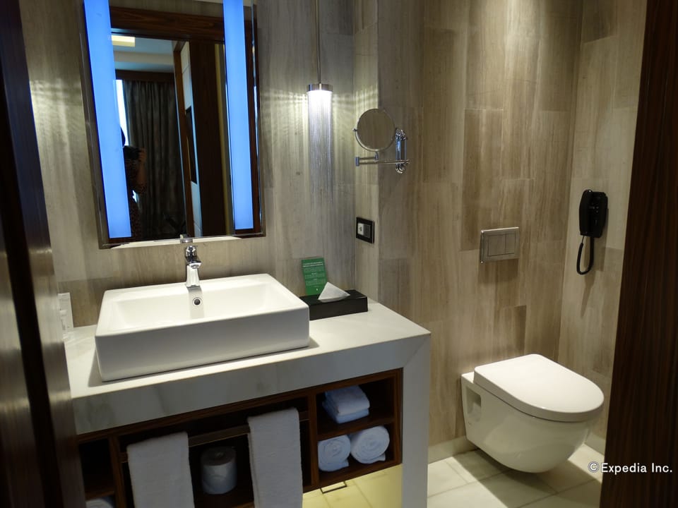 Executive Suite | Bathroom | Shower, rainfall showerhead, free toiletries, hair dryer