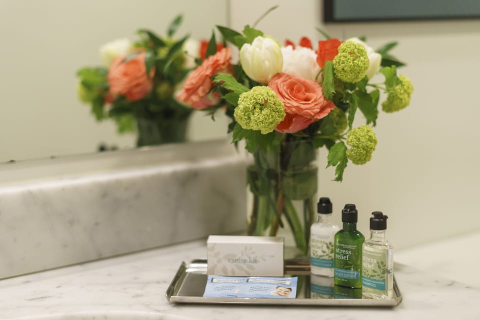 Combined shower/tub, free toiletries, hair dryer, bathrobes