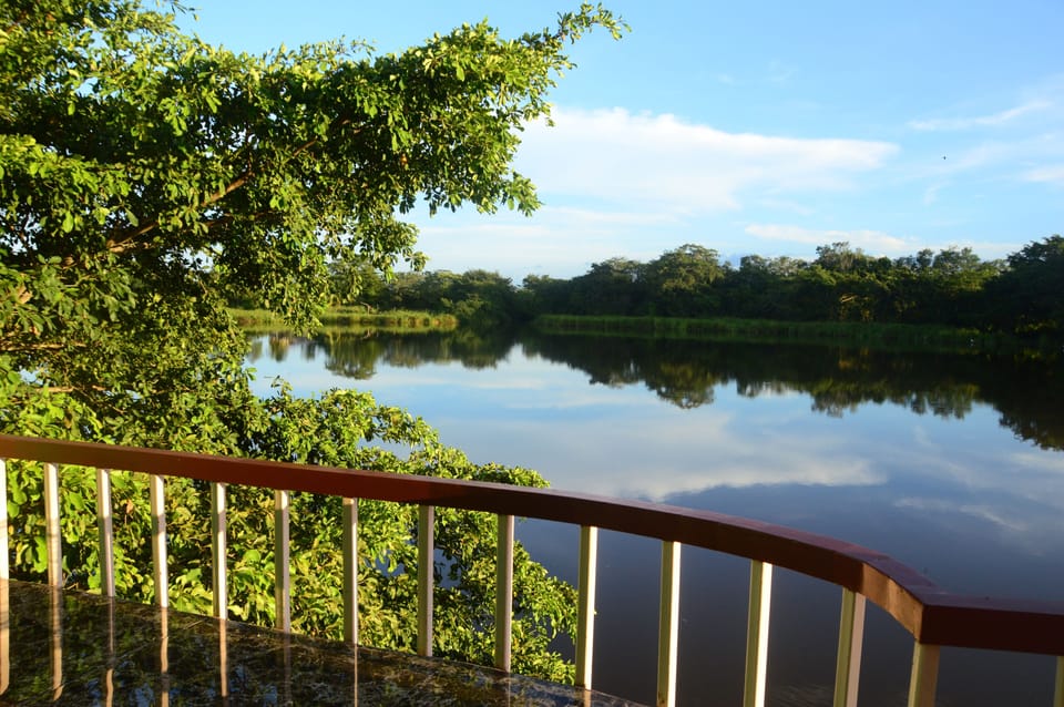Premium Room, 1 King Bed, River View | Balcony