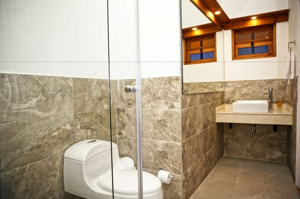 Standard Double Room | Bathroom | Shower, free toiletries, hair dryer, towels