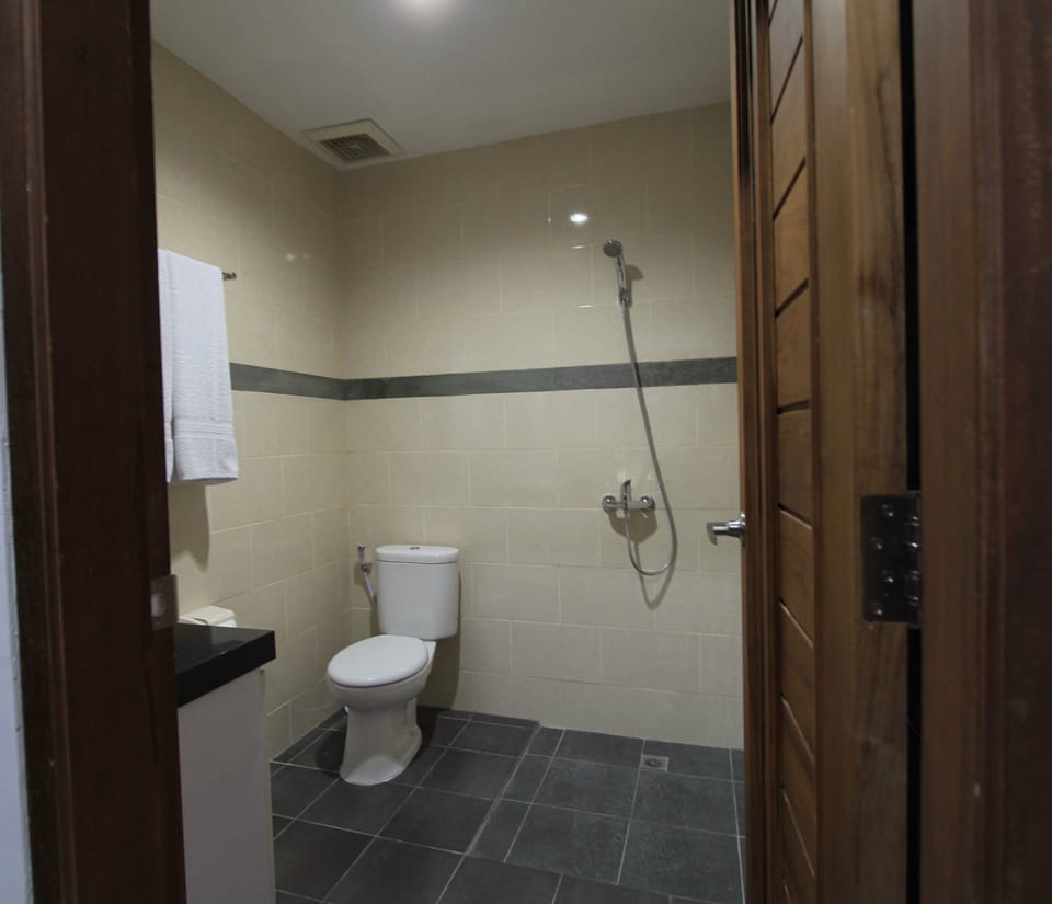 Shower, free toiletries, towels