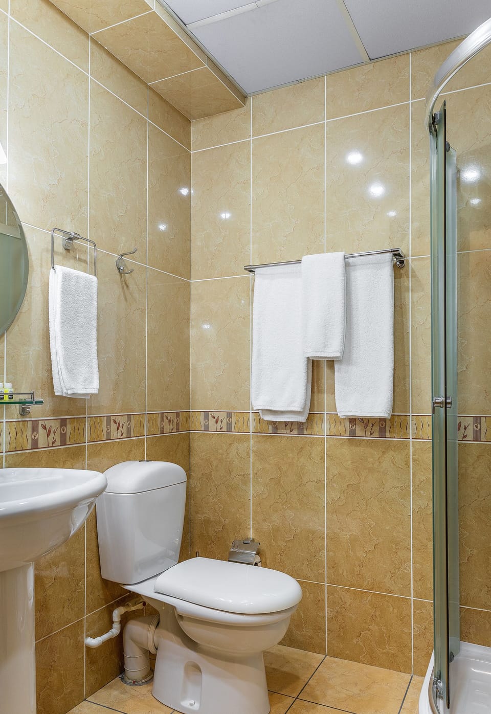 Shower, free toiletries, hair dryer, bathrobes