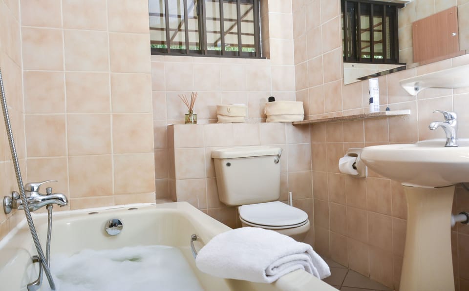 Free toiletries, hair dryer, towels