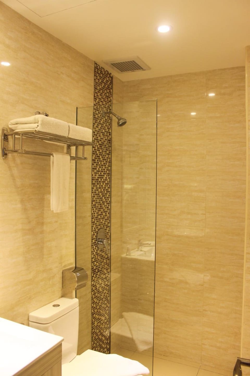 Shower, free toiletries, hair dryer, bidet
