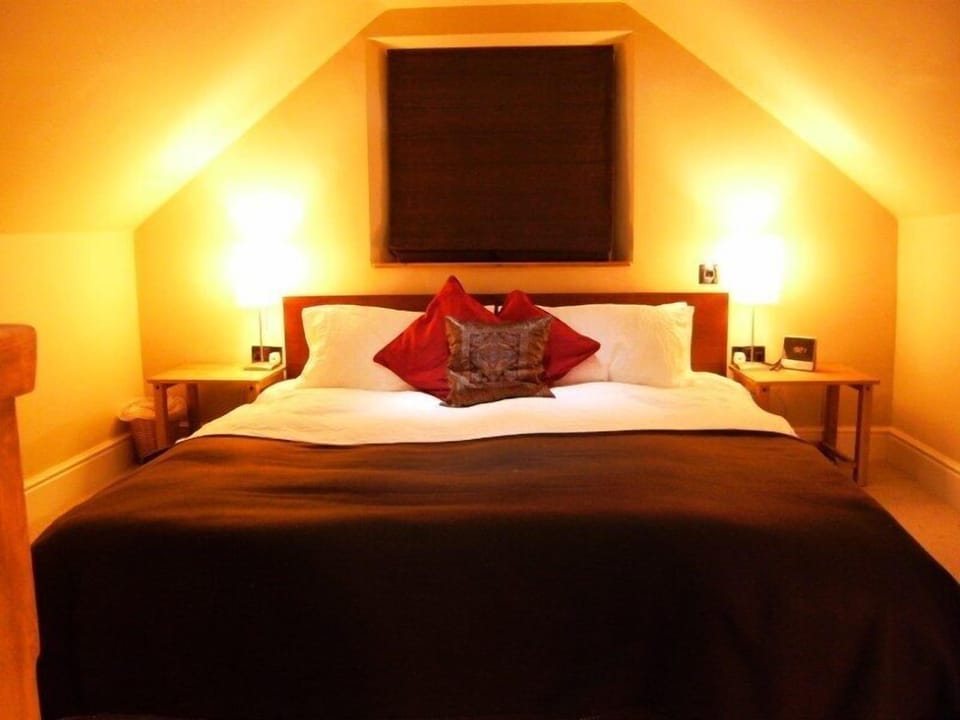 Suite | 1 bedroom