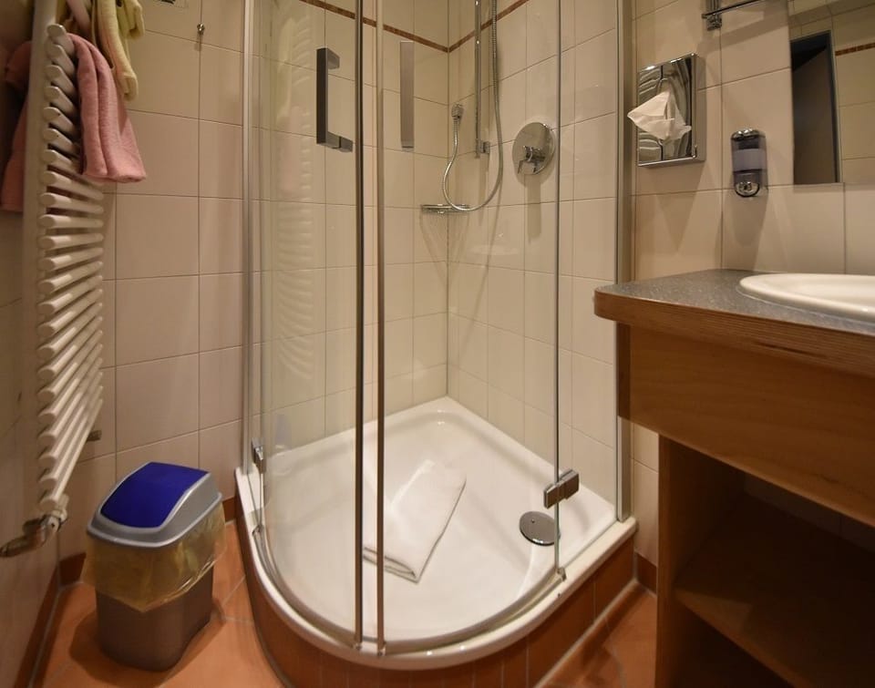 Shower, free toiletries, towels