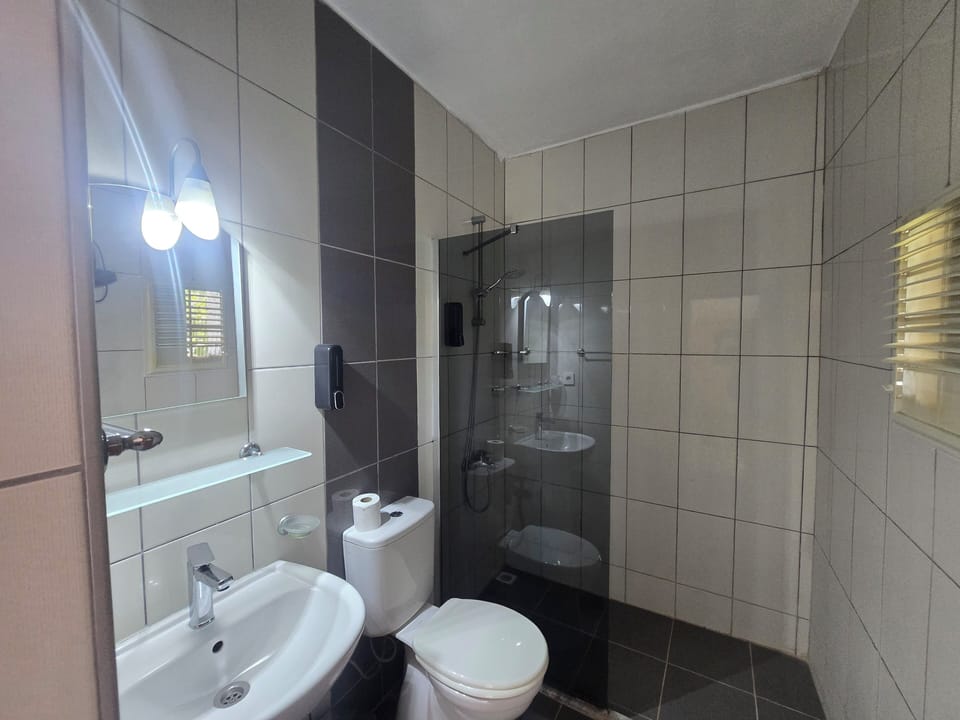 Shower, hair dryer