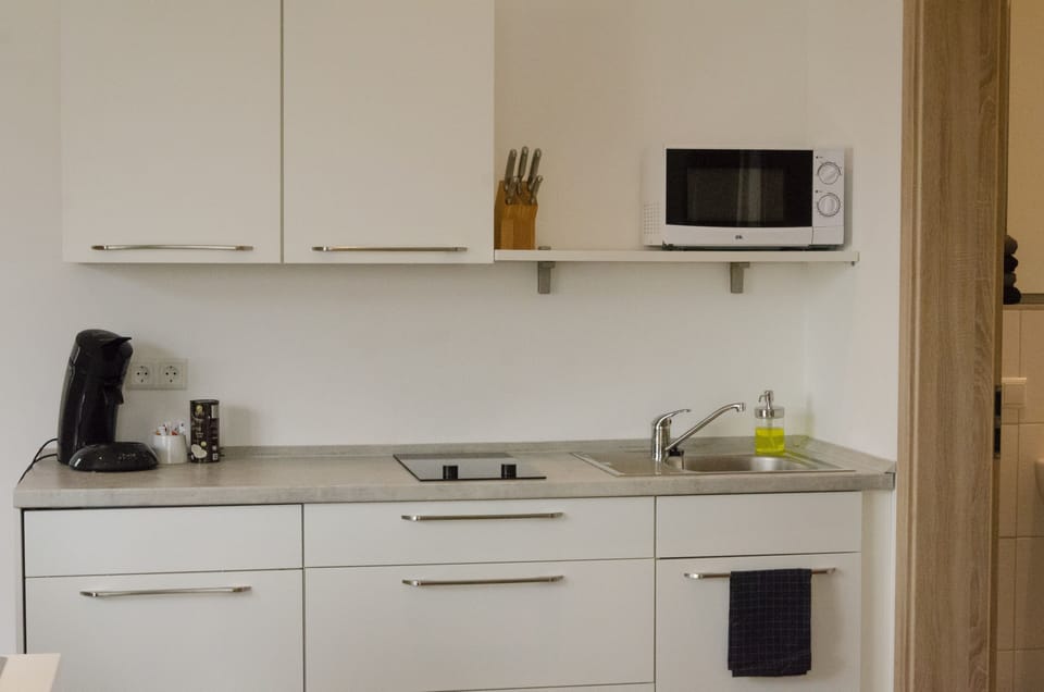 Fridge, microwave, stovetop, electric kettle