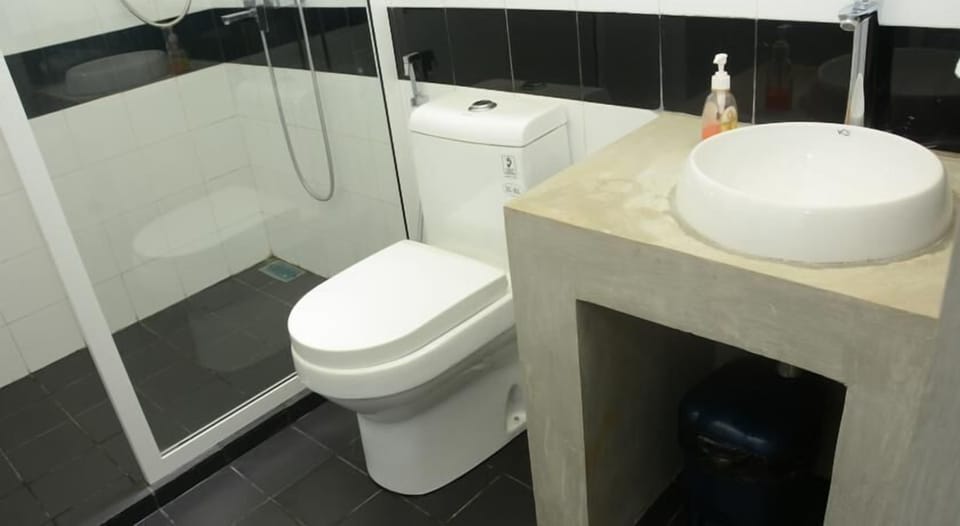 Shower, free toiletries, hair dryer, bidet