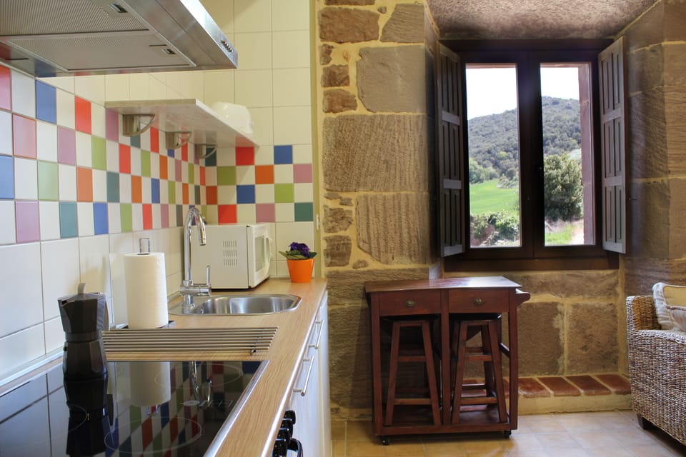 Traditional Apartment, 1 Queen Bed | Private kitchen