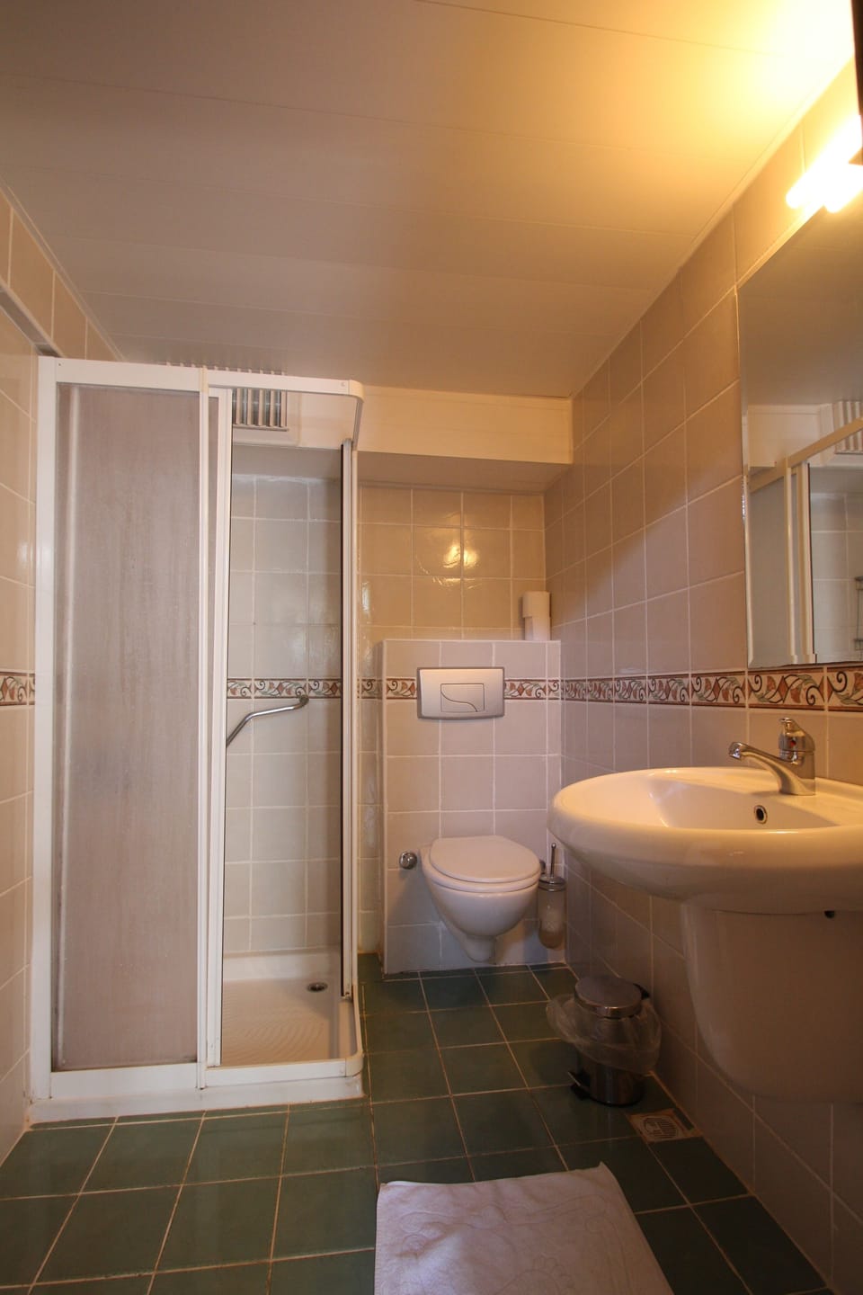 Family Room | Bathroom | Shower, hair dryer, towels