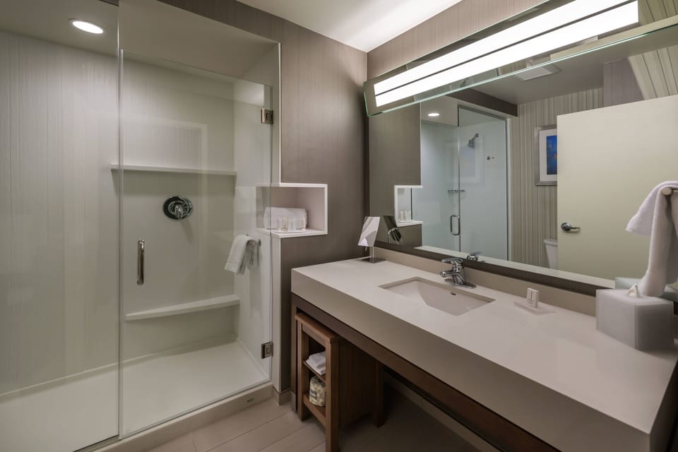 Shower, designer toiletries, hair dryer, towels