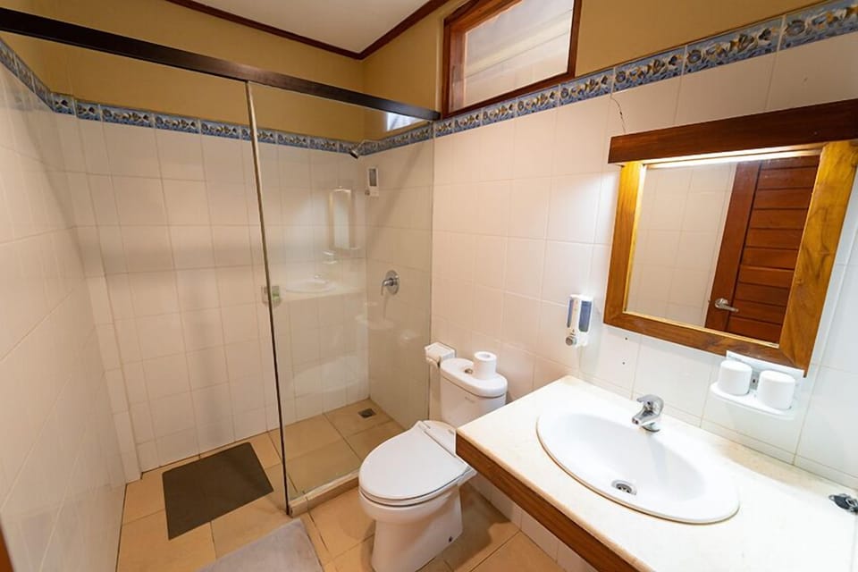 Shower, free toiletries, towels