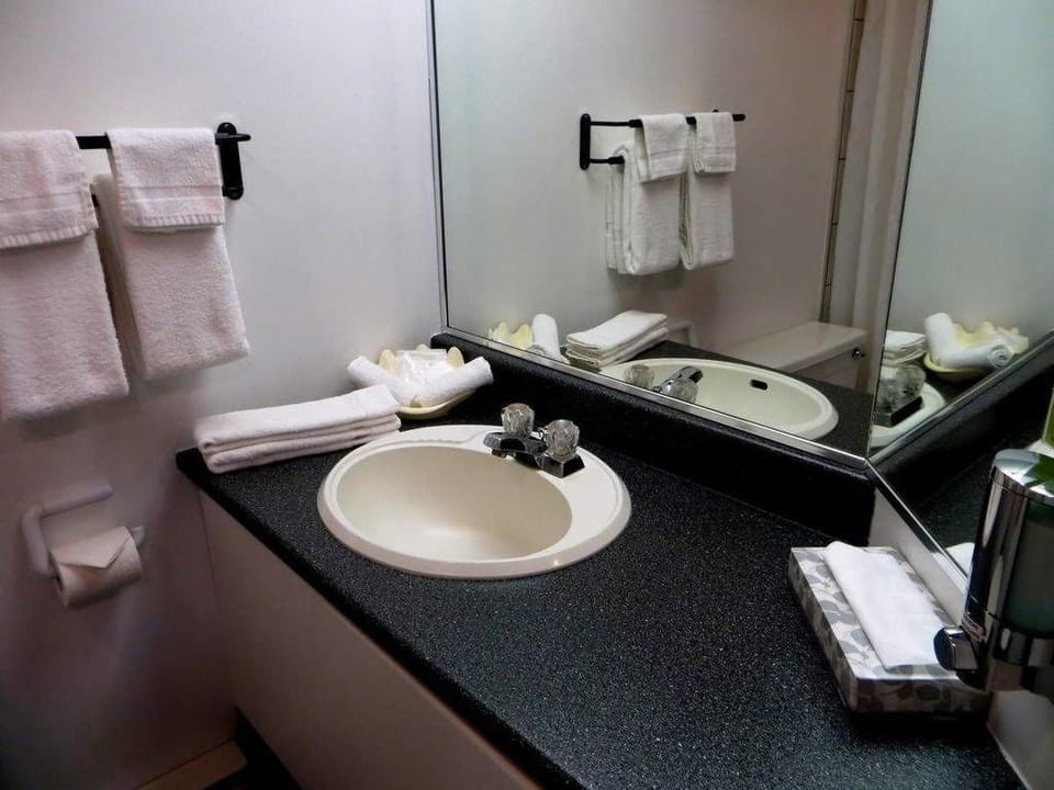 Suite, 1 Queen Bed | Bathroom sink