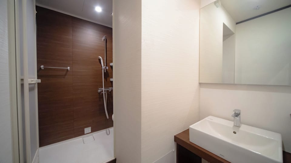Free toiletries, hair dryer, slippers, bidet