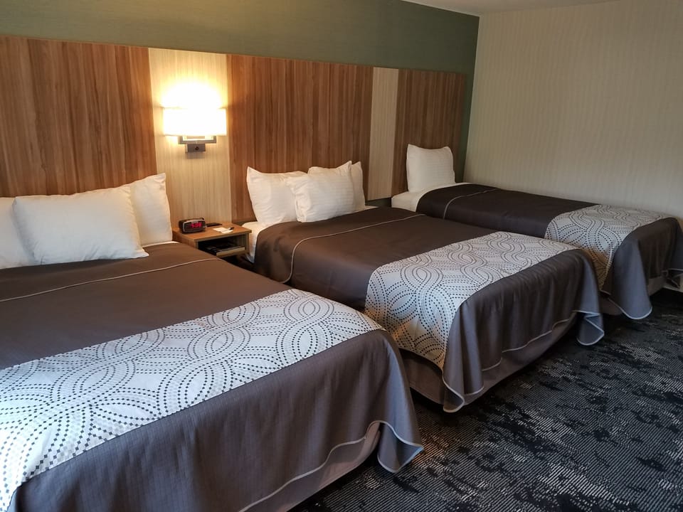 Family Triple Room | Premium bedding, desk, blackout drapes, iron/ironing board