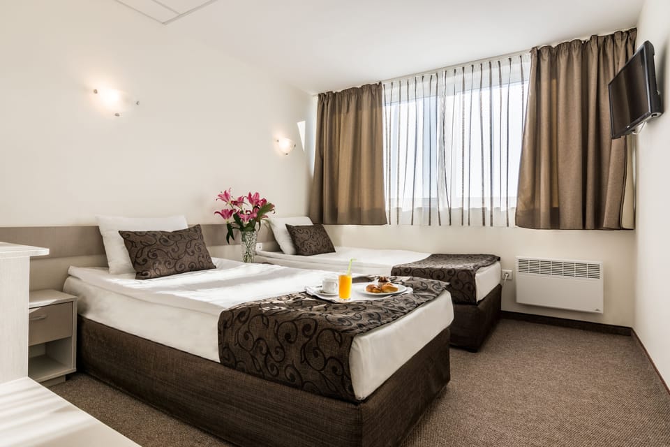 Minibar, desk, laptop workspace, free WiFi