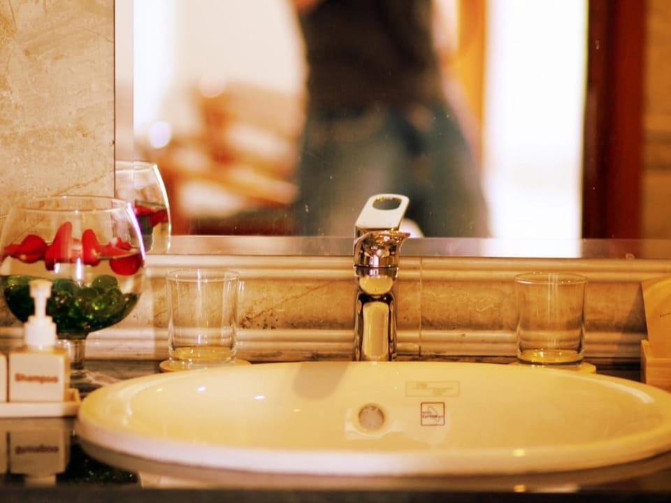 Shower, free toiletries, hair dryer (on request), slippers
