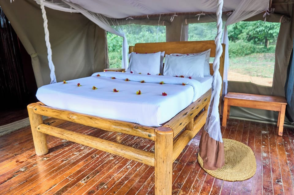 In-room safe, desk, bed sheets