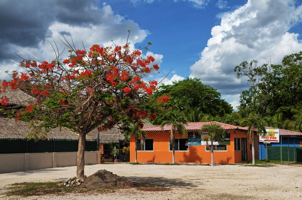 Front of property
