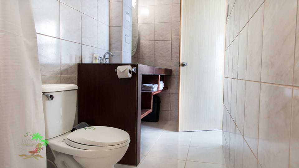 Shower, rainfall showerhead, free toiletries, towels