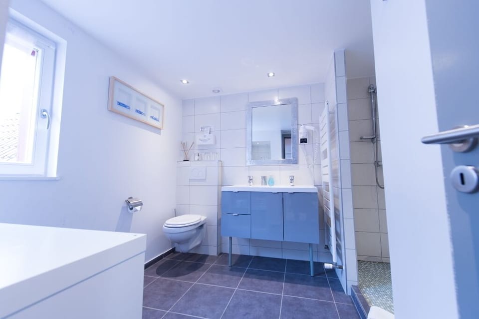 Deluxe Suite | Bathroom amenities | Free toiletries, hair dryer, bathrobes, towels