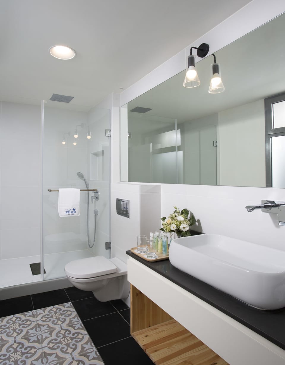Separate tub and shower, spring water tub, free toiletries, bathrobes