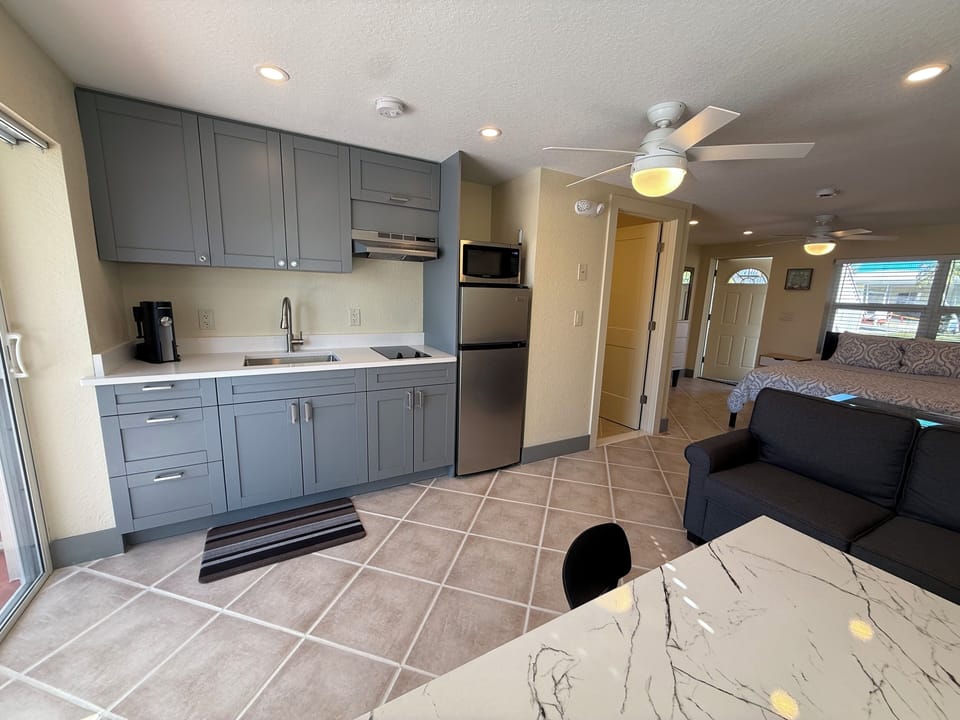 Apartment (One-bedroom apartment) | Private kitchen | Fridge, microwave, stovetop, coffee/tea maker