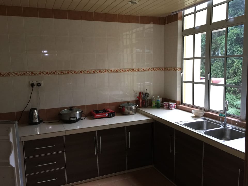 Premier Apartment, 3 Bedrooms | Private kitchenette | Full-size fridge, stovetop, electric kettle, cookware/dishes/utensils