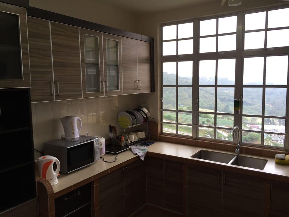 Premier Apartment, 3 Bedrooms | Private kitchenette | Full-size fridge, stovetop, electric kettle, cookware/dishes/utensils