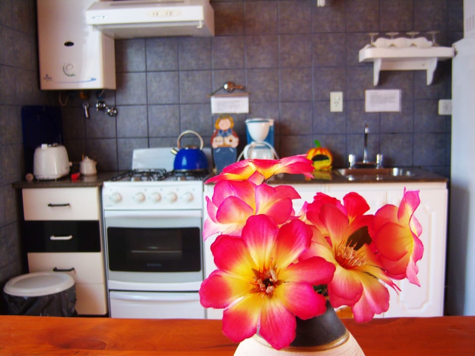 Coffee/tea maker, full-size fridge, microwave, oven