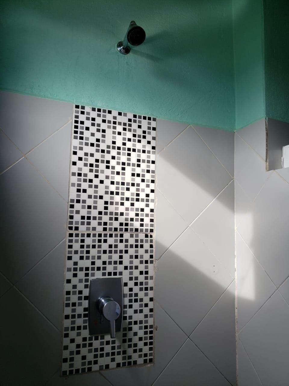 Shower, towels, soap, toilet paper