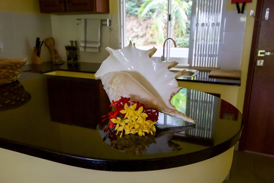 Superior Suite, 1 Bedroom, Ocean View, Sea Facing | Private kitchenette | Fridge, microwave, stovetop, electric kettle