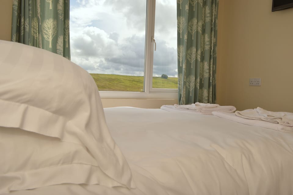 Double Room, Ensuite | Hypo-allergenic bedding, desk, iron/ironing board, free WiFi